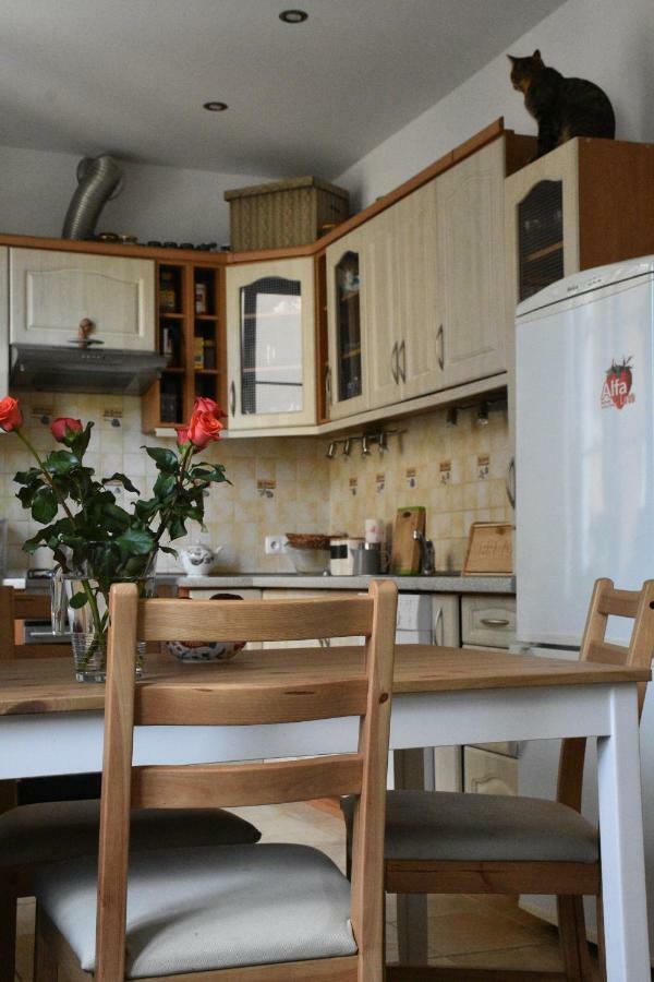 Apartament Rynek 11B Opolí Exteriér fotografie